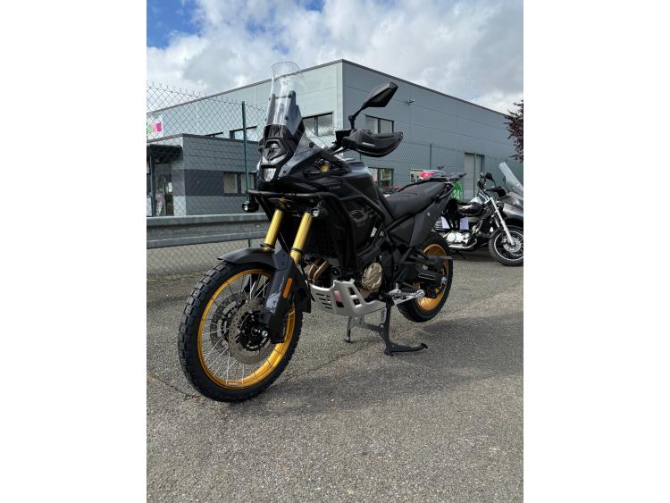 VOGE 800 RALLY 2025